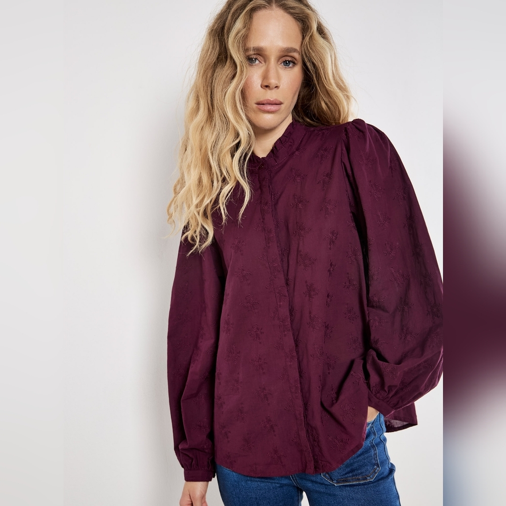 Ruffle Collar Embroidered Shirt